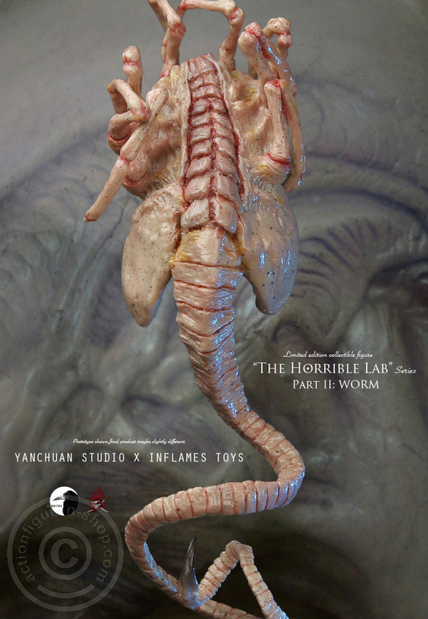 IFT-022-15 The Horrible Lab Series - WORM