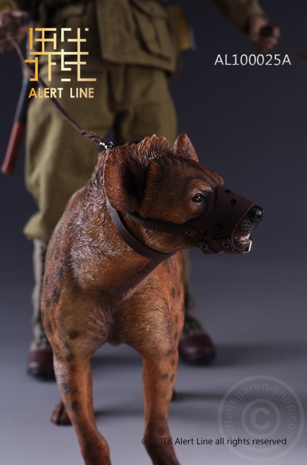 ALL1025AB-10Vk0jzR3VCVXay Crocuta - 1/6 scale