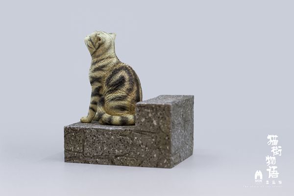 Sad American Shorthair Cat-Brown