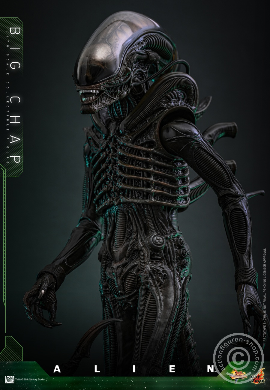 Hot Toys – MMS826 - Alien - 1/6th scale Big Chap Collectible Figure