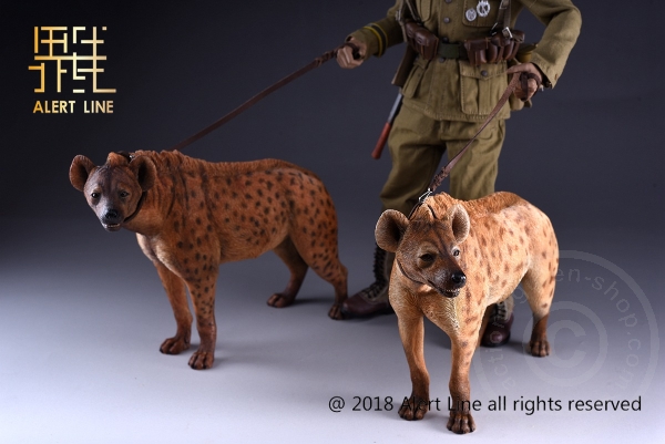 ALL1025AB-18vXRScJXiZjDNI Crocuta - 1/6 scale