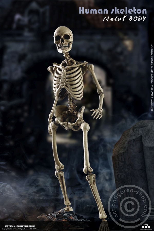 COOBS011-17oUwVzqCKa7bFx The Human Skeleton - DIECAST ALLOY - Attention: with 2 left feet