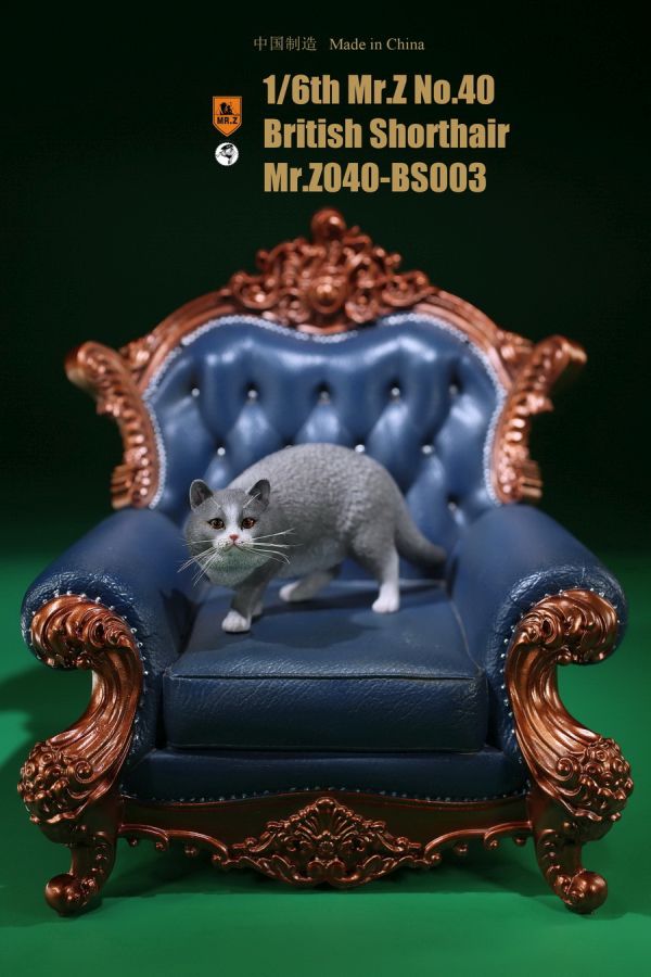 mrz040bs003-07wxQMThtL3AaVr Katze - British Shorthair