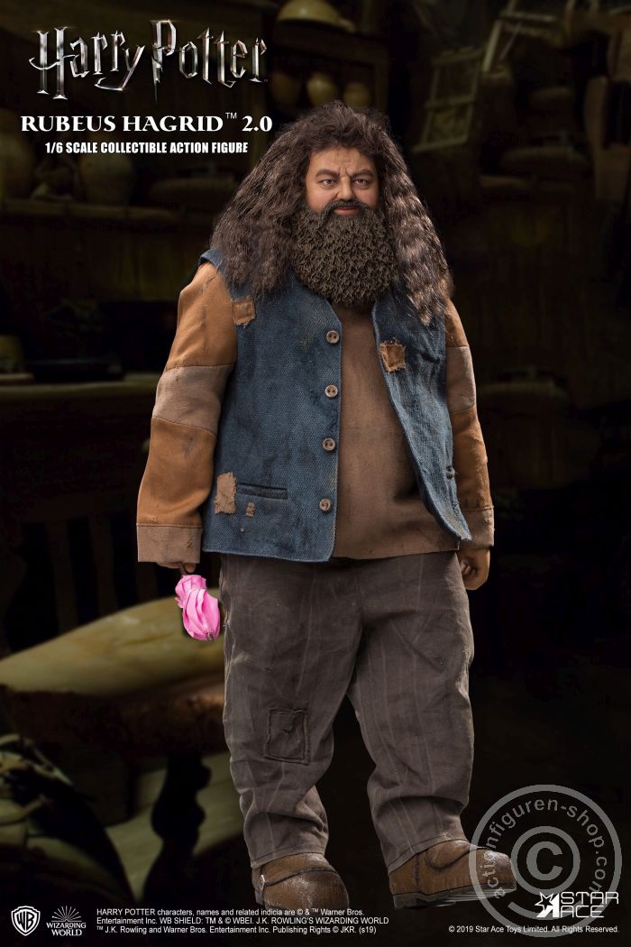 Rubeus Hagrid - Harry Potter And The Sorcerers Stone + X-Mas Version