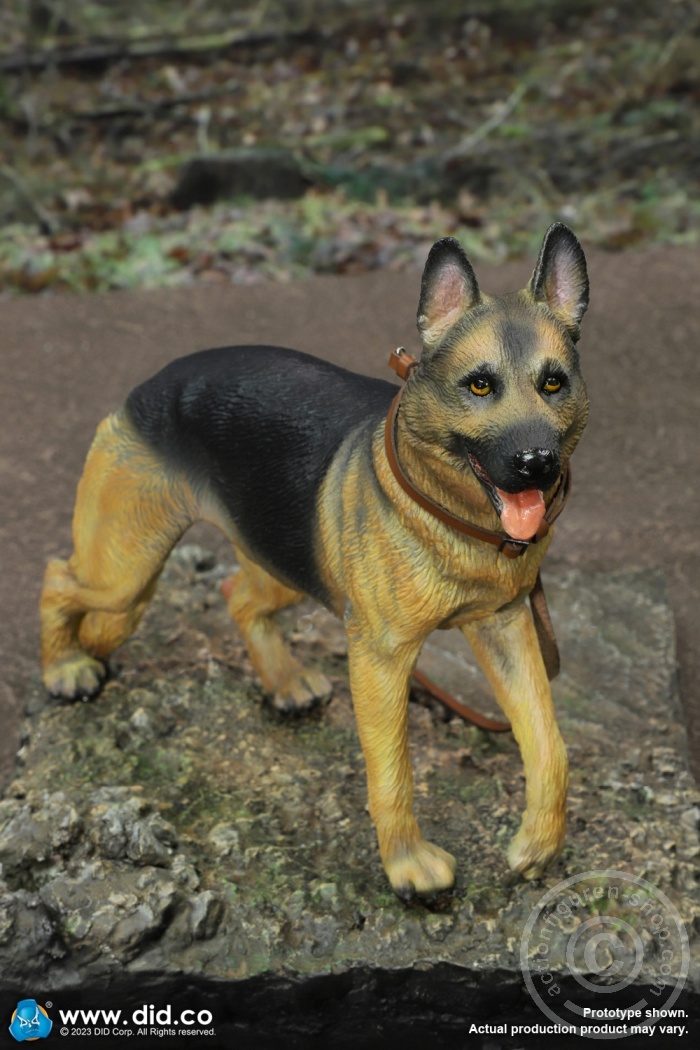 WWII German Shepherd Dog & Road Signs Set