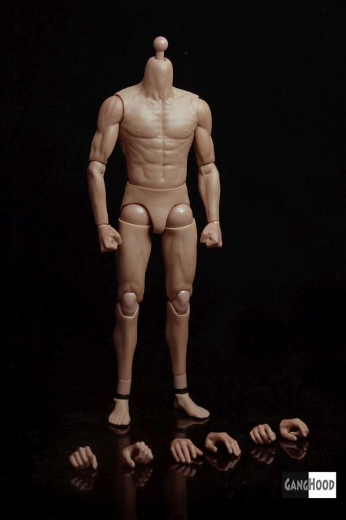Muscular Figure Body 2.0