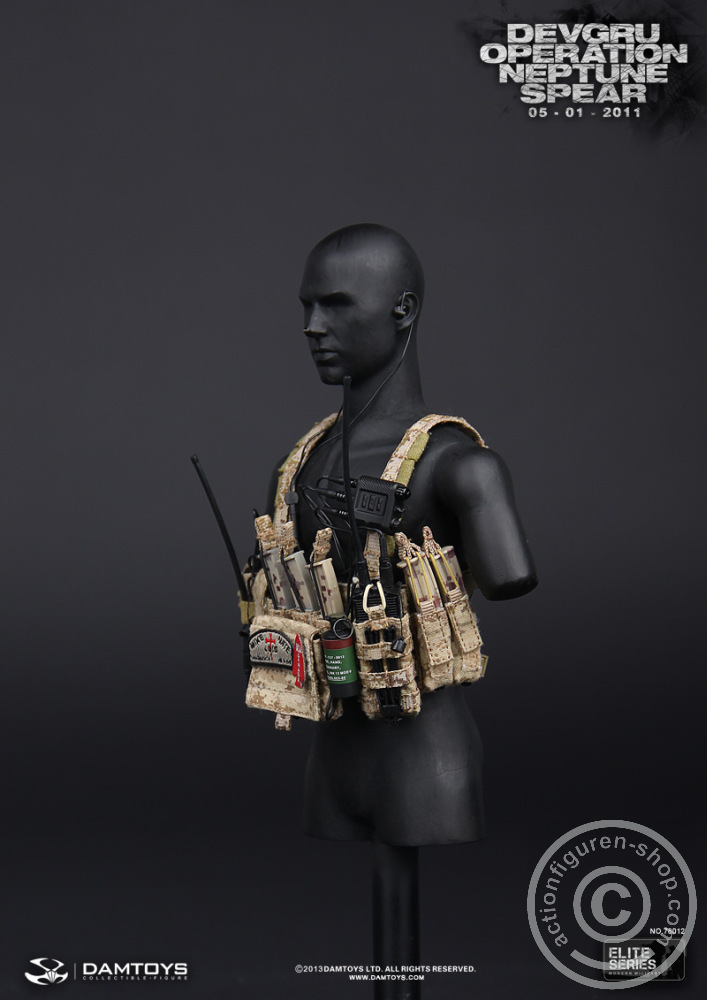 DA78012-48 DEVGRU Operation Neptune Spear