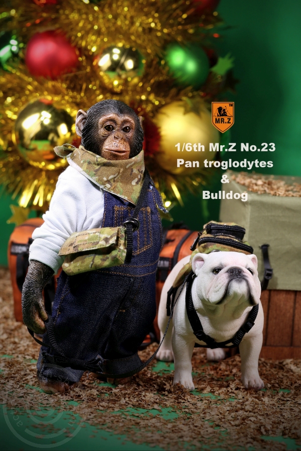 Chimpanzee and Bulldog Set