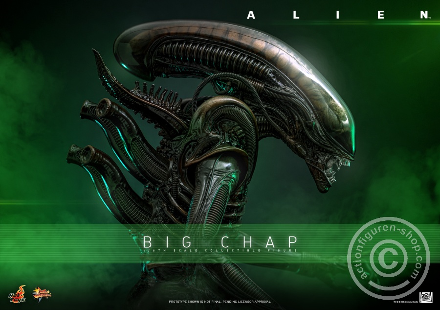 Hot Toys – MMS826 - Alien - 1/6th scale Big Chap Collectible Figure