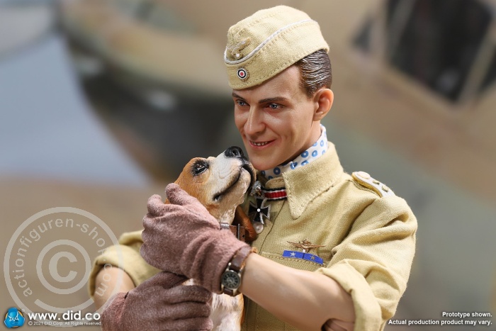 Diorama - "Star of Afrika"