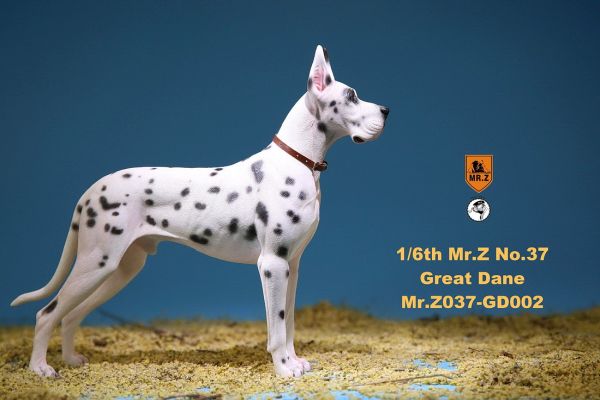 mrzgd037gd02-07RmOADPZ853jLA Deutsche Dogge - D