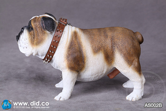 AS002B-04a British Bulldog - Version B