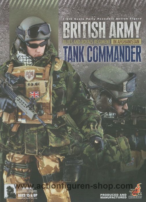 Blues and Royals - Tank Commander