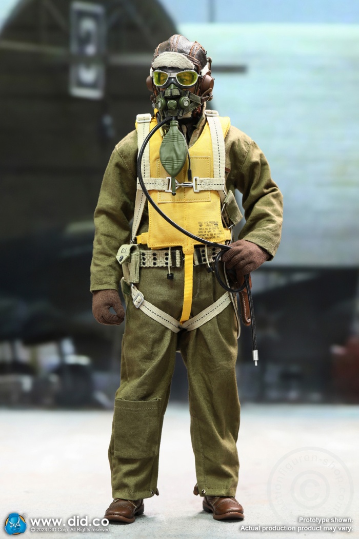 Captain Rafe - WWII United States Army Air Forces Pilot Captain Rafe - WWII United States Army Air Forces Pilot