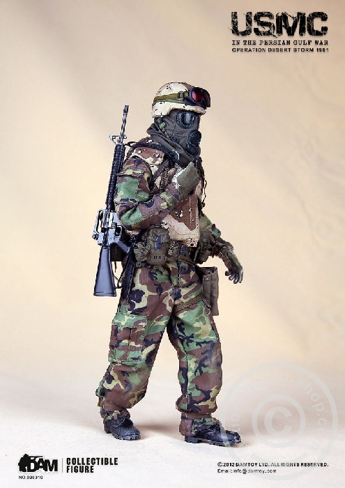 USMC Operation Desert Storm 1991