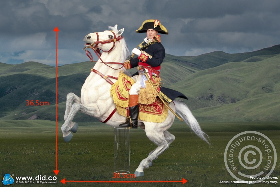 Napoleon White War Horse