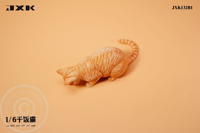 Cats That Eat Cat Food - B1 Cats That Eat Cat Food - B1