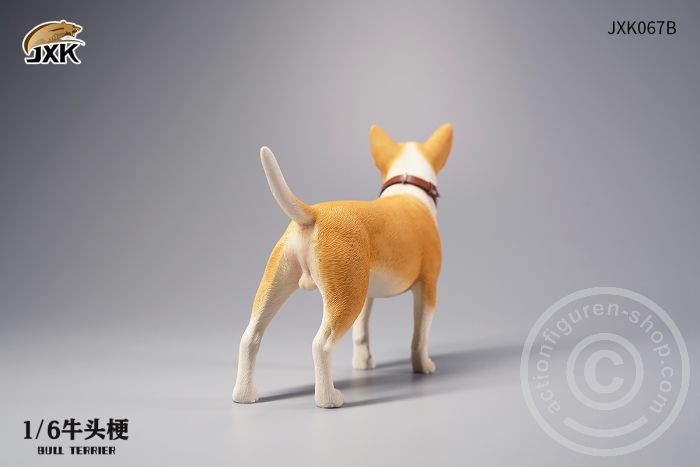 Bull Terrier - white/brown