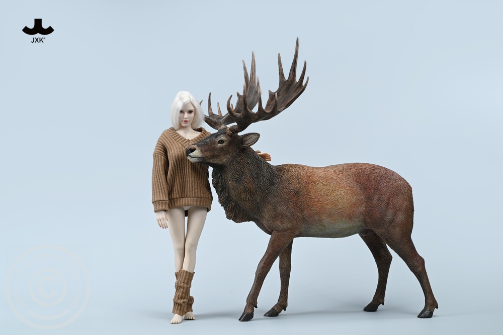Reindeer - Color A Reindeer - Color A