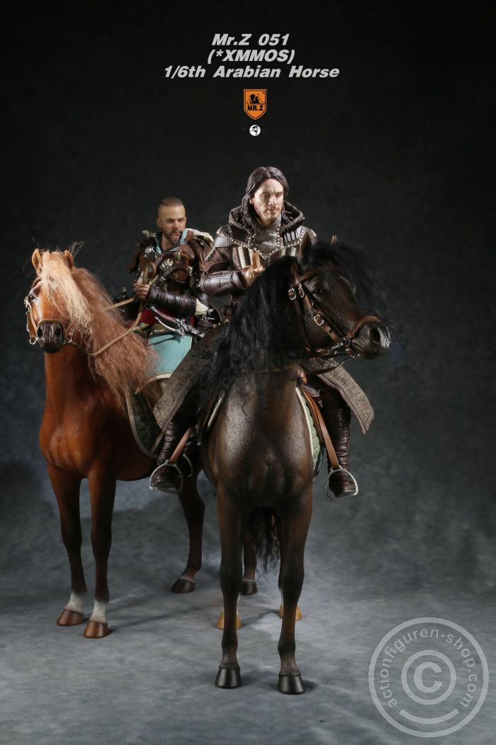 MRZ051-039yQ18YNLKyU62 Arabian Horse w/ full European Harness - black