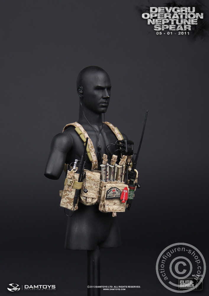 DA78012-49 DEVGRU Operation Neptune Spear