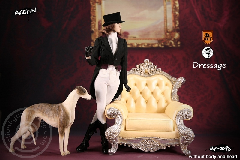MRZ004B-184csZ1K6rVUnkt Dressage Set B