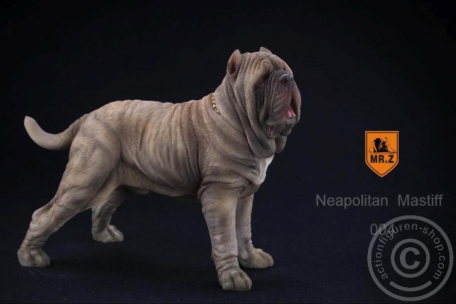 MRZ-NM-26 Neapolitan Mastiff - tan