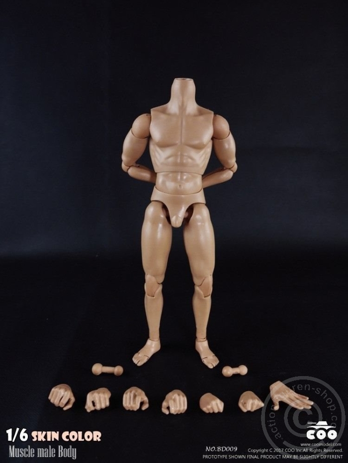 Male Body 2.0 - Muscular - 25cm