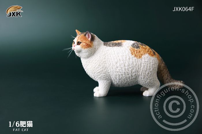 Fat Cat - F