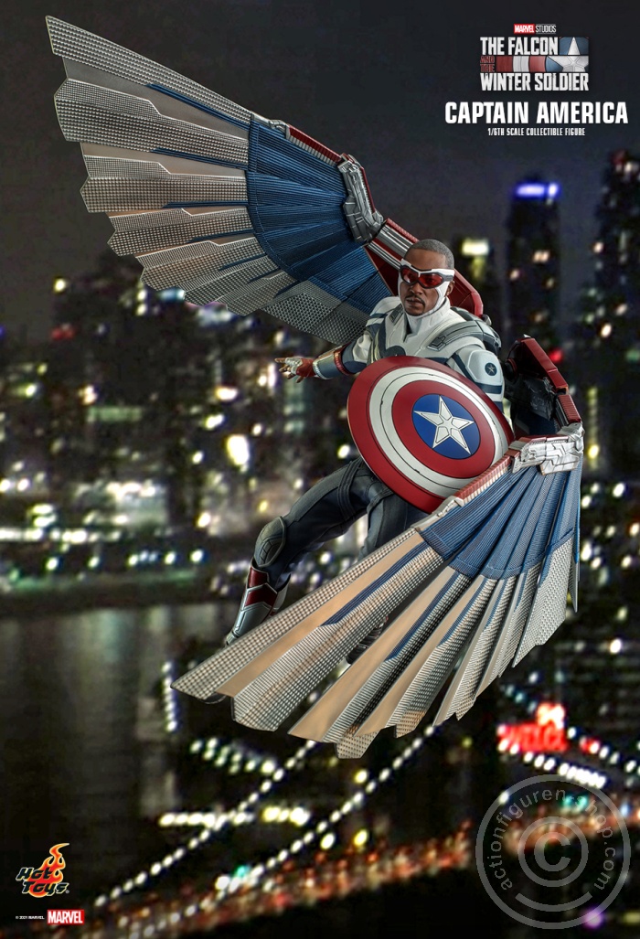 The Falcon and the Winter Soldier - Captain America - TMS040 The Falcon and the Winter Soldier - Captain America - TMS040