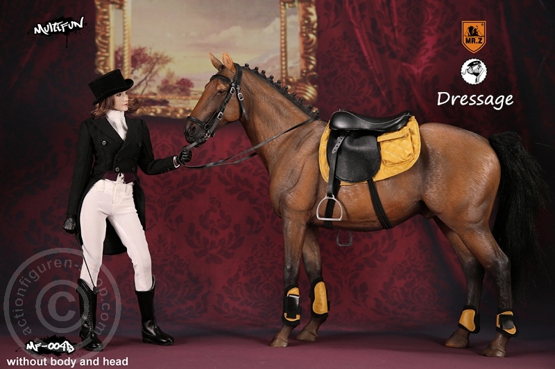 MRZ004B-06clK0DyBeaDsuL Dressage Set B