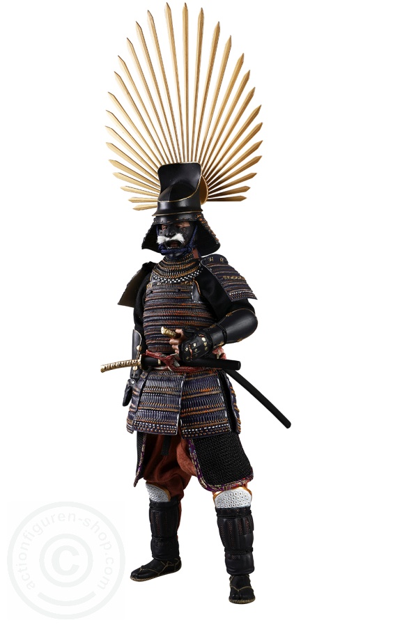 Toyotomi Hideyoshi (EXCLUSIVE)