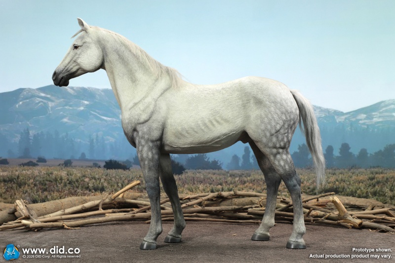 Civil War White War Horse (Standing) - 1/6 scale