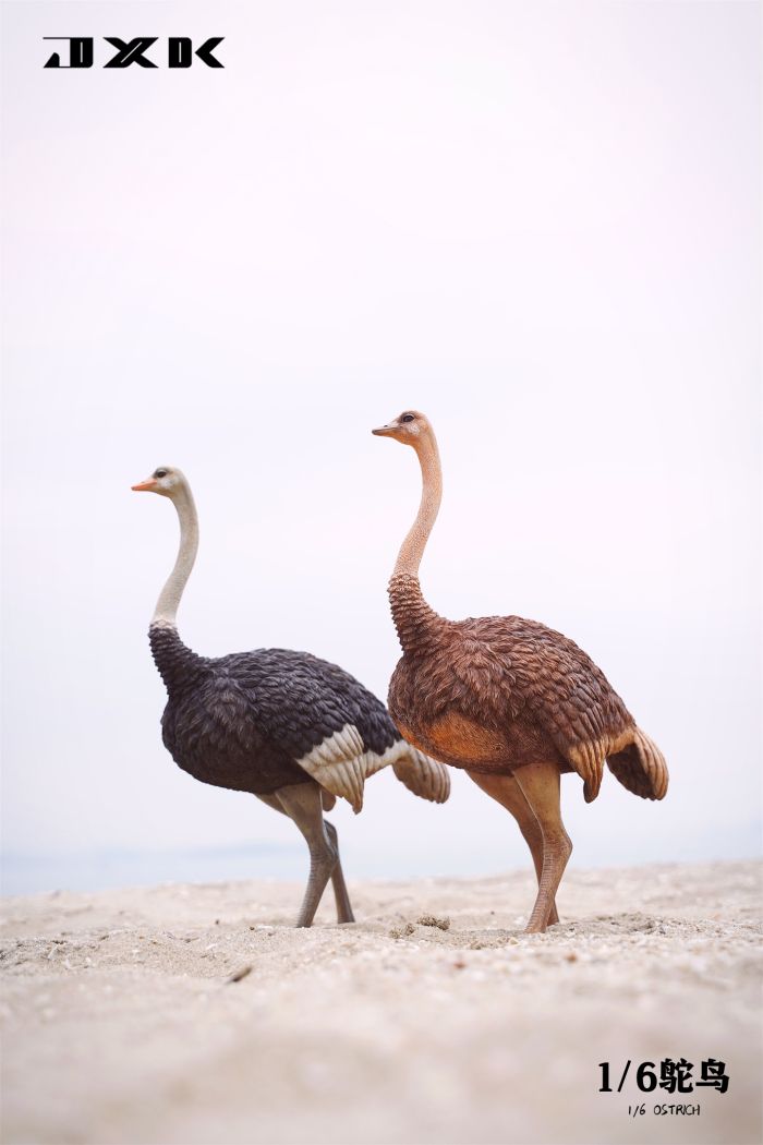JXK097A2-06 Ostrich - w/ Saddle & Bridle - Version A2