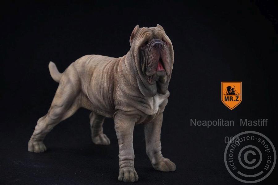 Neapolitan Mastiff - tan