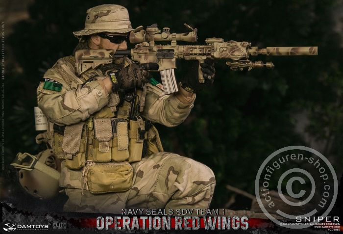 Operation Red Wings - NAVY SEALS SDV TEAM 1 - Sniper