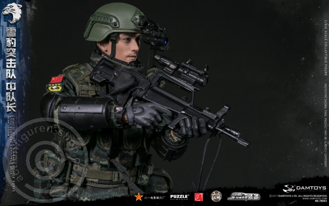 DA78053-11 China People Armed Police Force - Snow Leopard Commando Leader
