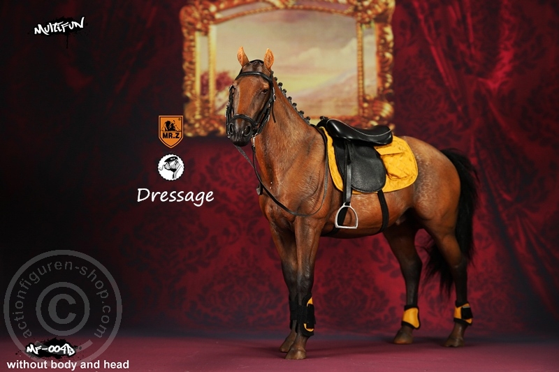 MRZ004B-03 Dressage Set B