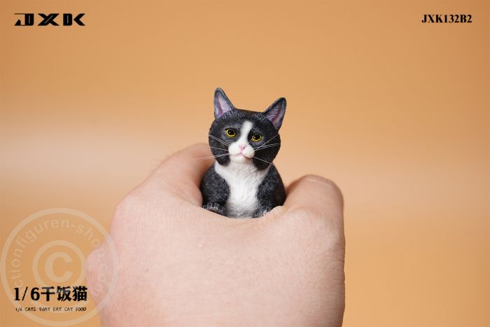 Cats That Eat Cat Food - B2 Cats That Eat Cat Food - B2