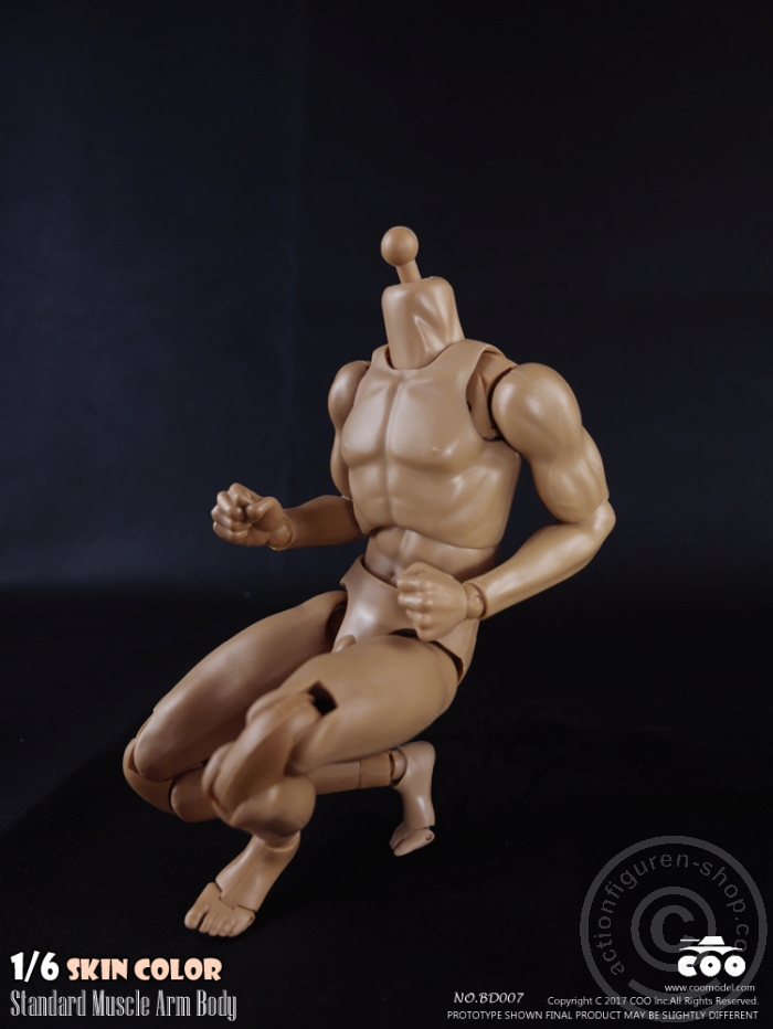 COOBD008-07 Male Body 2.0 - Muscular - 27cm