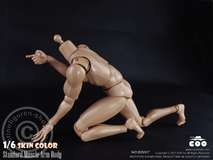 Male Body 2.0 - Muscular - 25cm