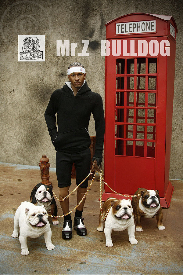 MRZ003-006-003 British Bulldog - Version 4