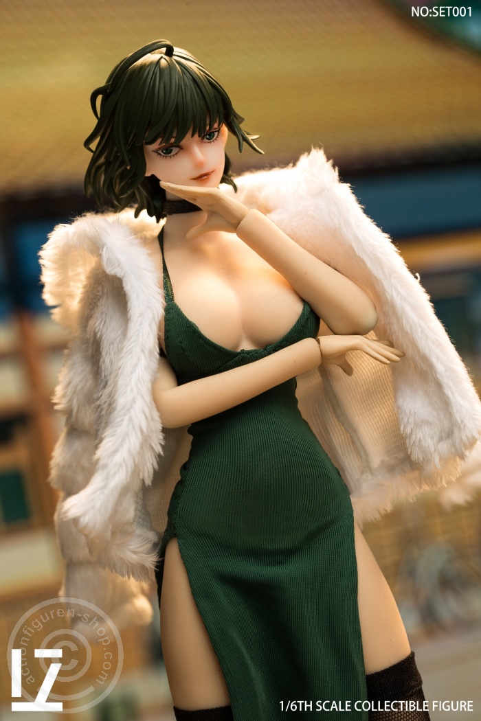 The Heroine Who Guards the World - Snow Head & Costume Set The Heroine Who Guards the World - Snow Head & Costume Set