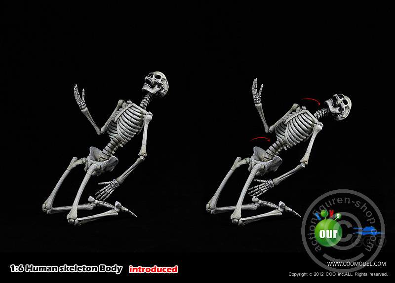 Skeleton Spear Soldier - Human Skeleton in 1:6