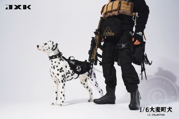 Dalmatian - standing Dalmatian - standing