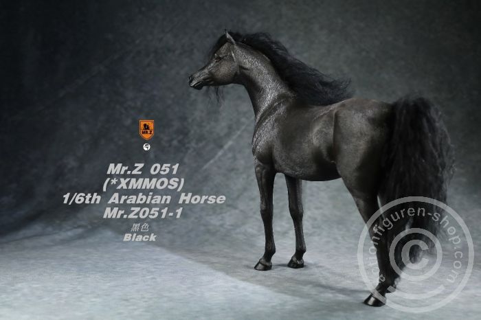 MRZ051-01-13JLCoatvDyWNZy Arabian Horse w/ full European Harness - black