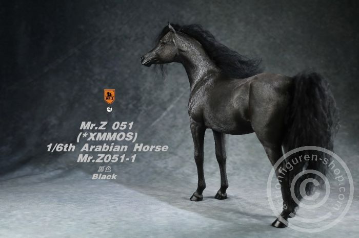 Arabian Horse w/ full European Harness - black