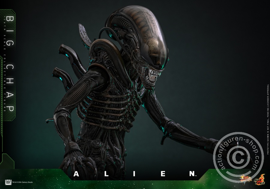Hot Toys – MMS826 - Alien - 1/6th scale Big Chap Collectible Figure