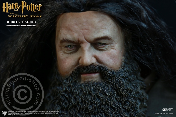 Rubeus Hagrid - Harry Potter And The Sorcerers Stone + X-Mas Version