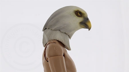 TC-M1007C-04 Vogel Kopf für 1:6 Figuren